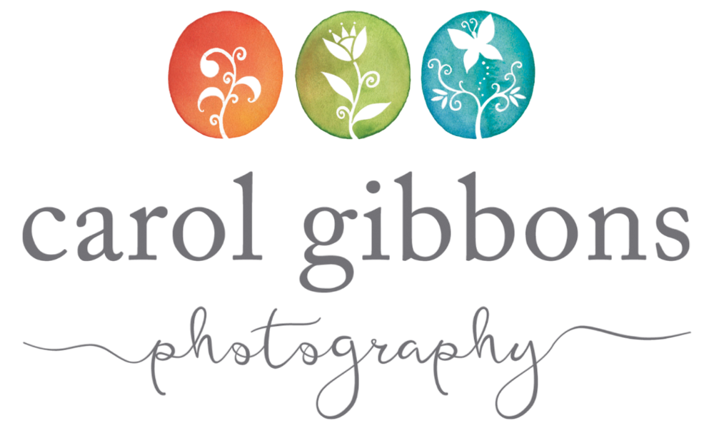 Carol Gibbons Photography Northern Beaches Sydney